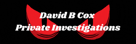 Private Investigator Logo